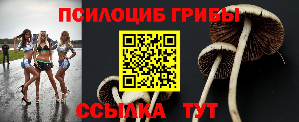 Бошки Шишки  Меф  Слободской  Метамфетамин  Alpha-PVP СОЛЬ кристаллы  Амфетамин кристаллы  LSD-25  Кокаин  Меф МЯУ МЯУ   Вход с VPN 